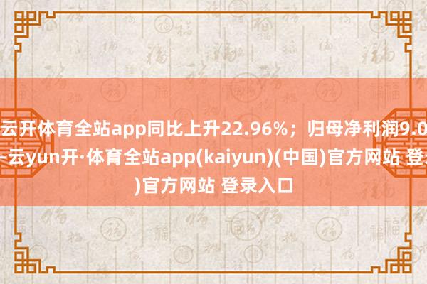 云开体育全站app同比上升22.96%；归母净利润9.04亿元-云yun开·体育全站app(kaiyun)(中国)官方网站 登录入口