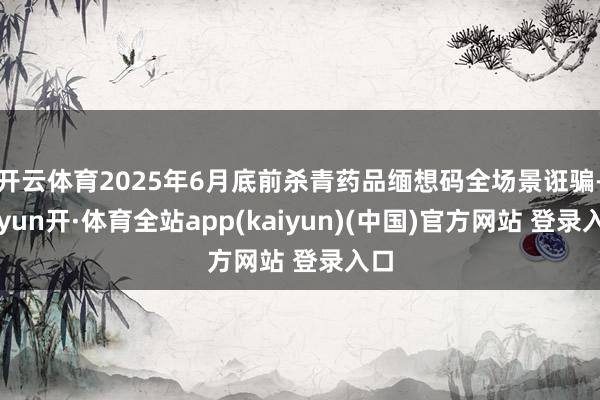 开云体育2025年6月底前杀青药品缅想码全场景诳骗-云yun开·体育全站app(kaiyun)(中国)官方网站 登录入口
