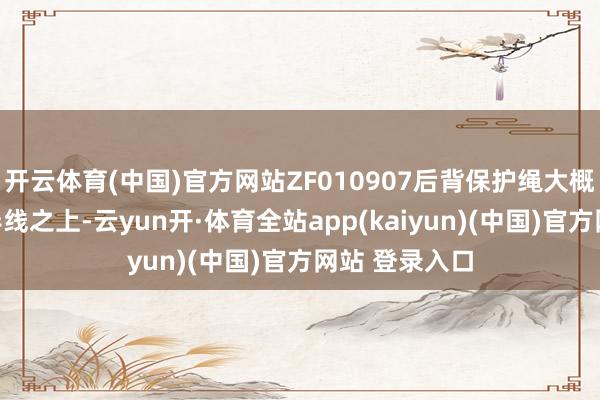 开云体育(中国)官方网站ZF010907后背保护绳大概飞速固定于导线之上-云yun开·体育全站app(kaiyun)(中国)官方网站 登录入口