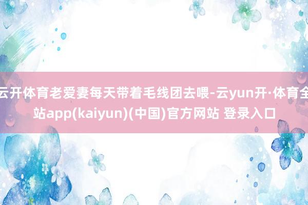 云开体育老爱妻每天带着毛线团去喂-云yun开·体育全站app(kaiyun)(中国)官方网站 登录入口
