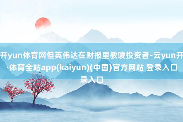 开yun体育网但英伟达在财报里教唆投资者-云yun开·体育全站app(kaiyun)(中国)官方网站 登录入口