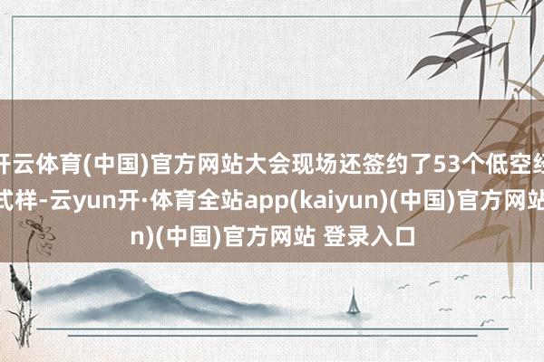 开云体育(中国)官方网站大会现场还签约了53个低空经济规模的式样-云yun开·体育全站app(kaiyun)(中国)官方网站 登录入口